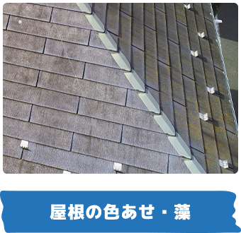屋根の色あせ・藻